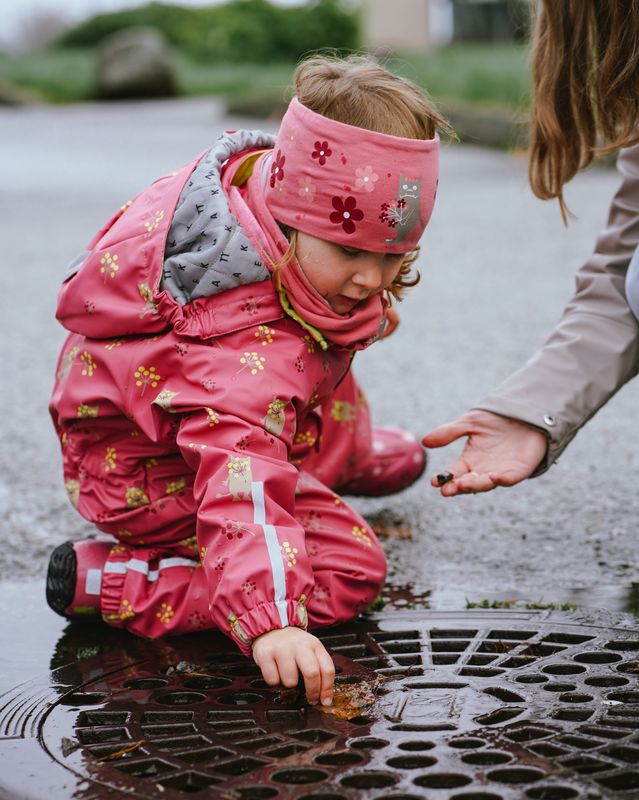 Kattnakken Heilårsregndress Hagl raudkløver Tolvmeterskogen