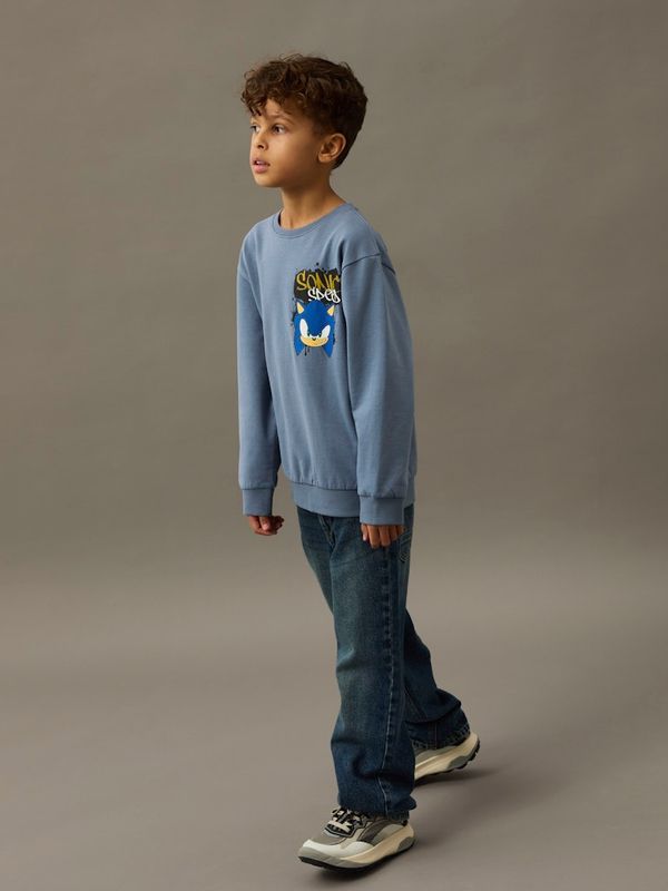 Name It Sonic genser flint stone