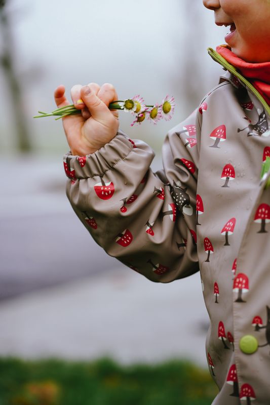 Kattnakken Heilårsregndress Hagl månefjell Tolvmeterskogen