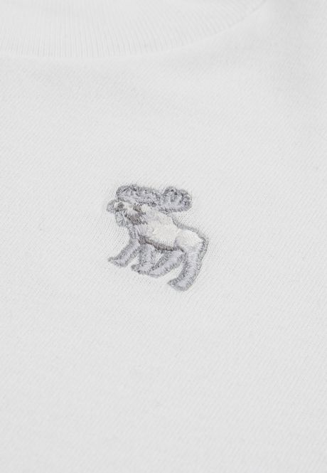 Hovedbilde Abercrombie T-shirt chest logo bright white